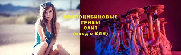 PSILOCYBIN Балахна