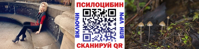 ссылка на мегу сайт  Сосновка  Псилоцибиновые грибы ЛСД 